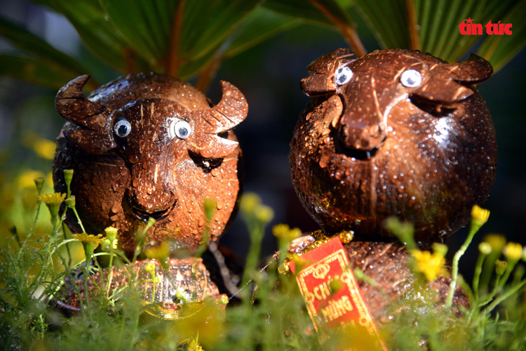 Unique buffalo bonsai from coconut
